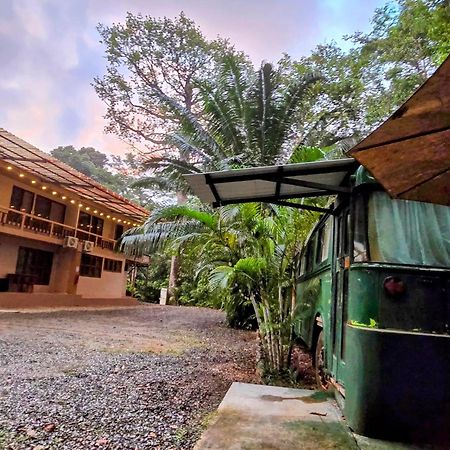 Cool Waters Jungle Villas Uvita Ngoại thất bức ảnh