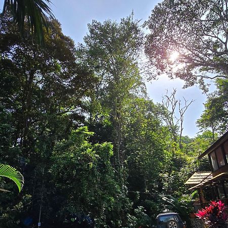 Cool Waters Jungle Villas Uvita Ngoại thất bức ảnh