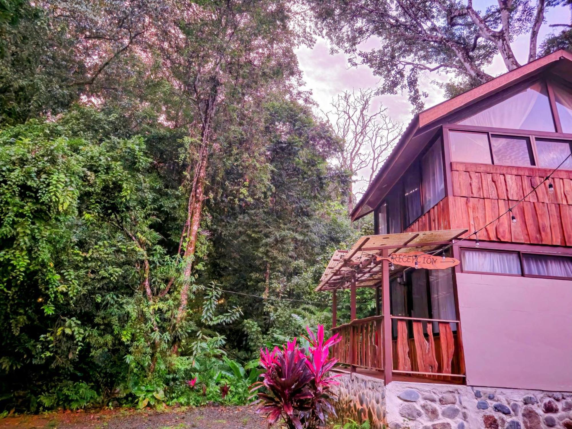 Cool Waters Jungle Villas Uvita Ngoại thất bức ảnh